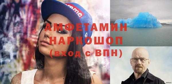 индика Абаза