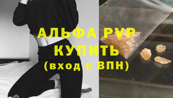 индика Абаза