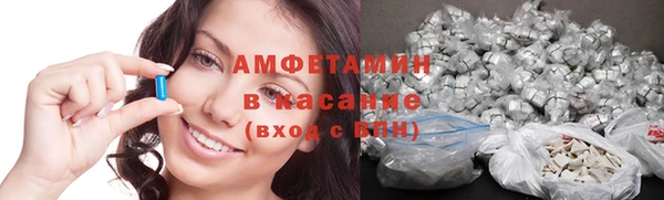 индика Абаза