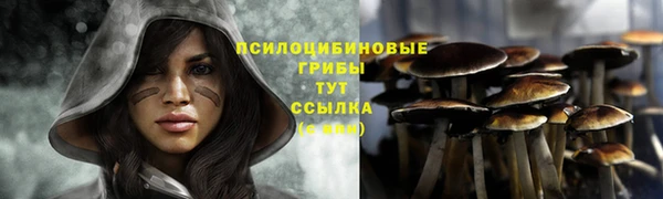 индика Абаза