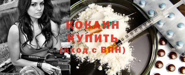 индика Абаза