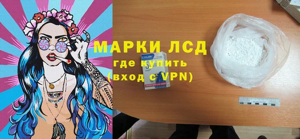 индика Абаза