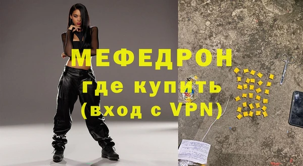 индика Абаза