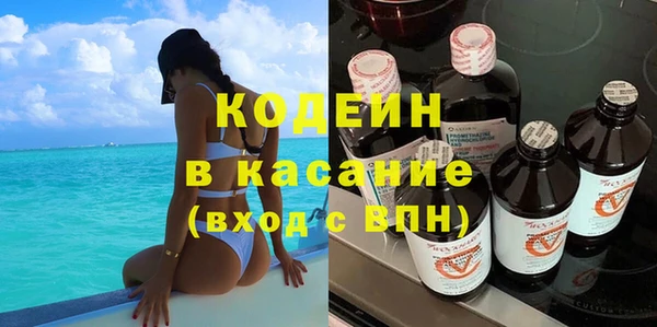 индика Абаза