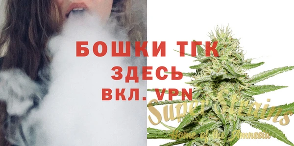 индика Абаза