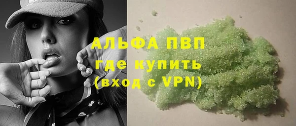 индика Абаза