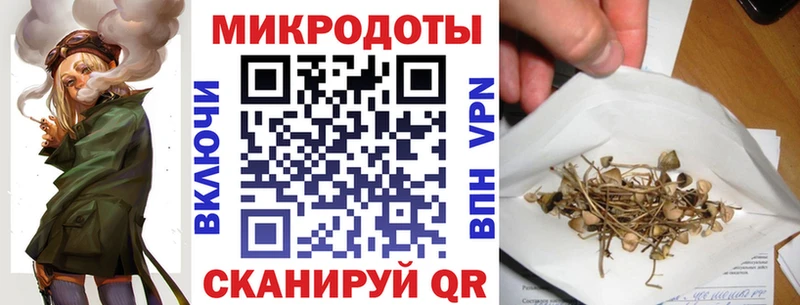 Галлюциногенные грибы Psilocybine cubensis  цены наркотик  Шилка 