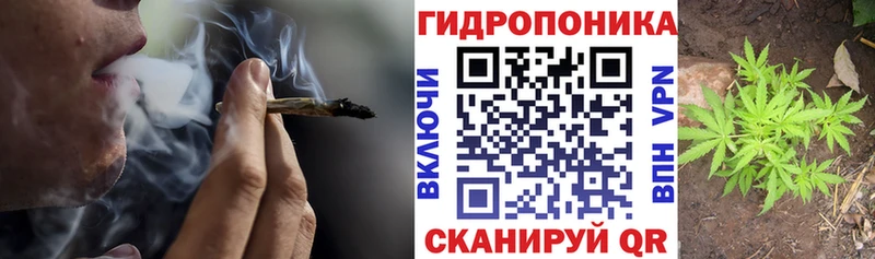 Каннабис OG Kush  omg маркетплейс  Шилка 